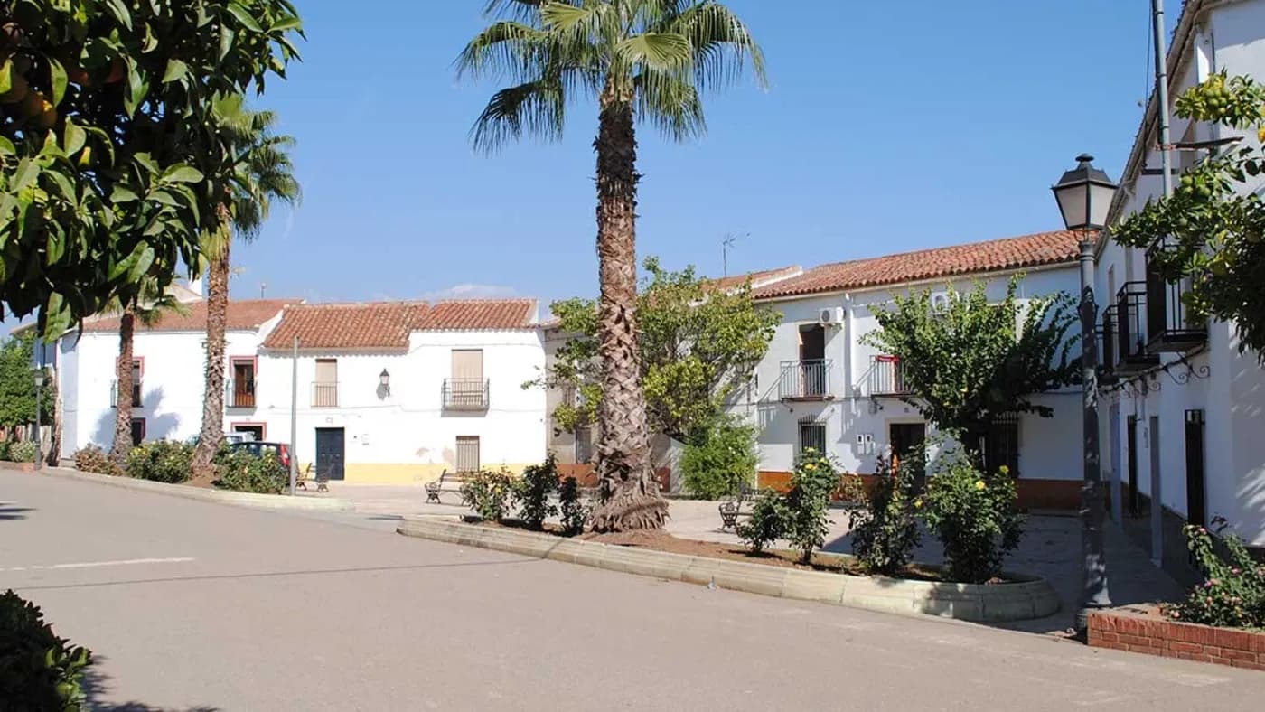 Carboneros