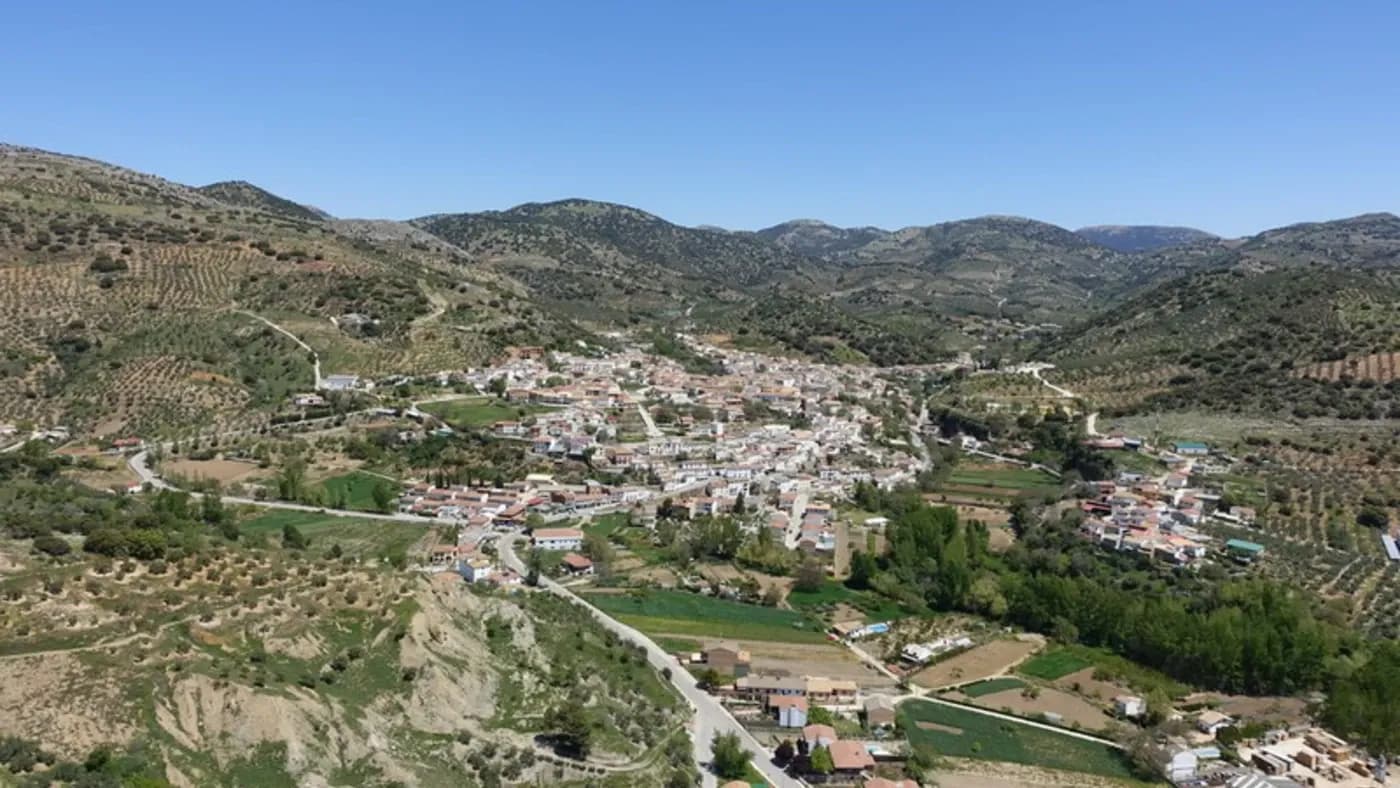 Frailes