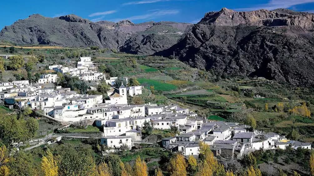 Chauchina