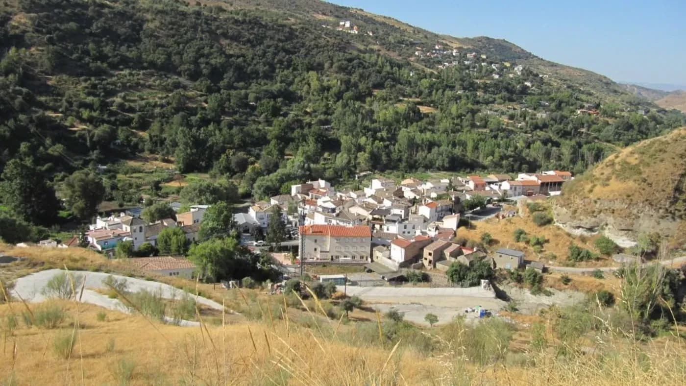 Dudar