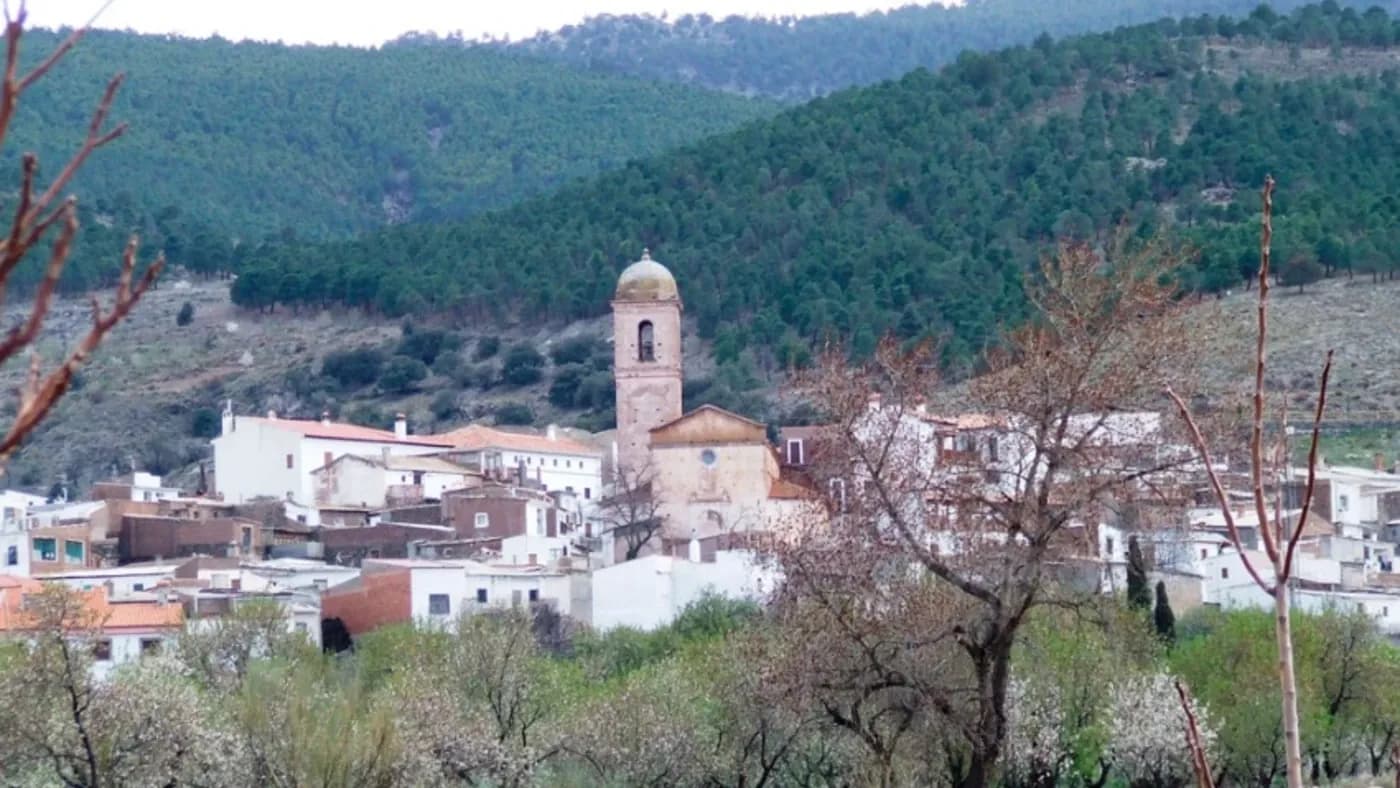 Ferreira