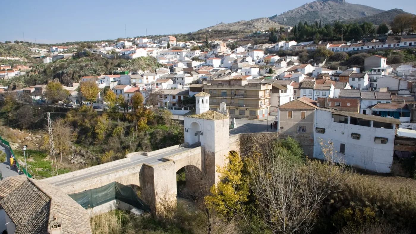 Pinos Puente