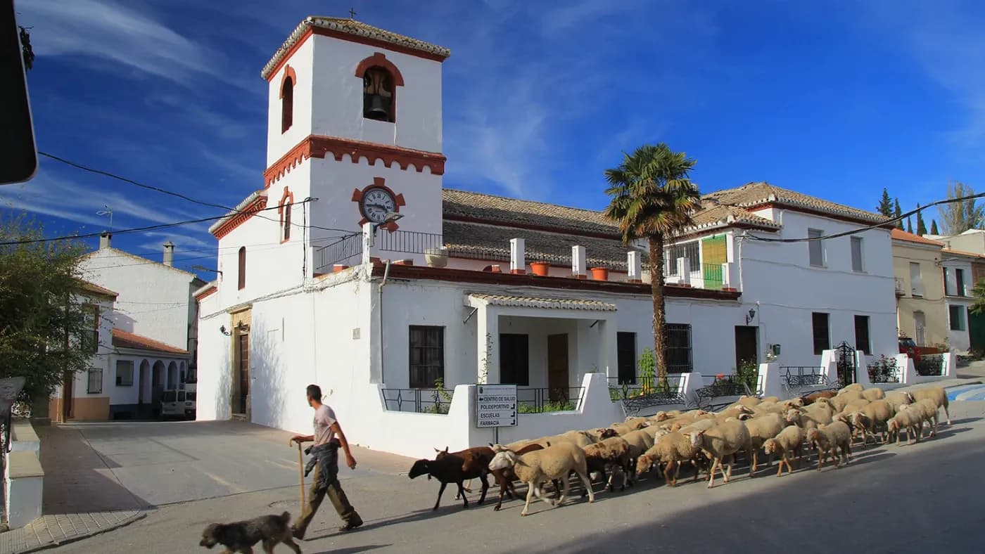 Santa Cruz del Comercio