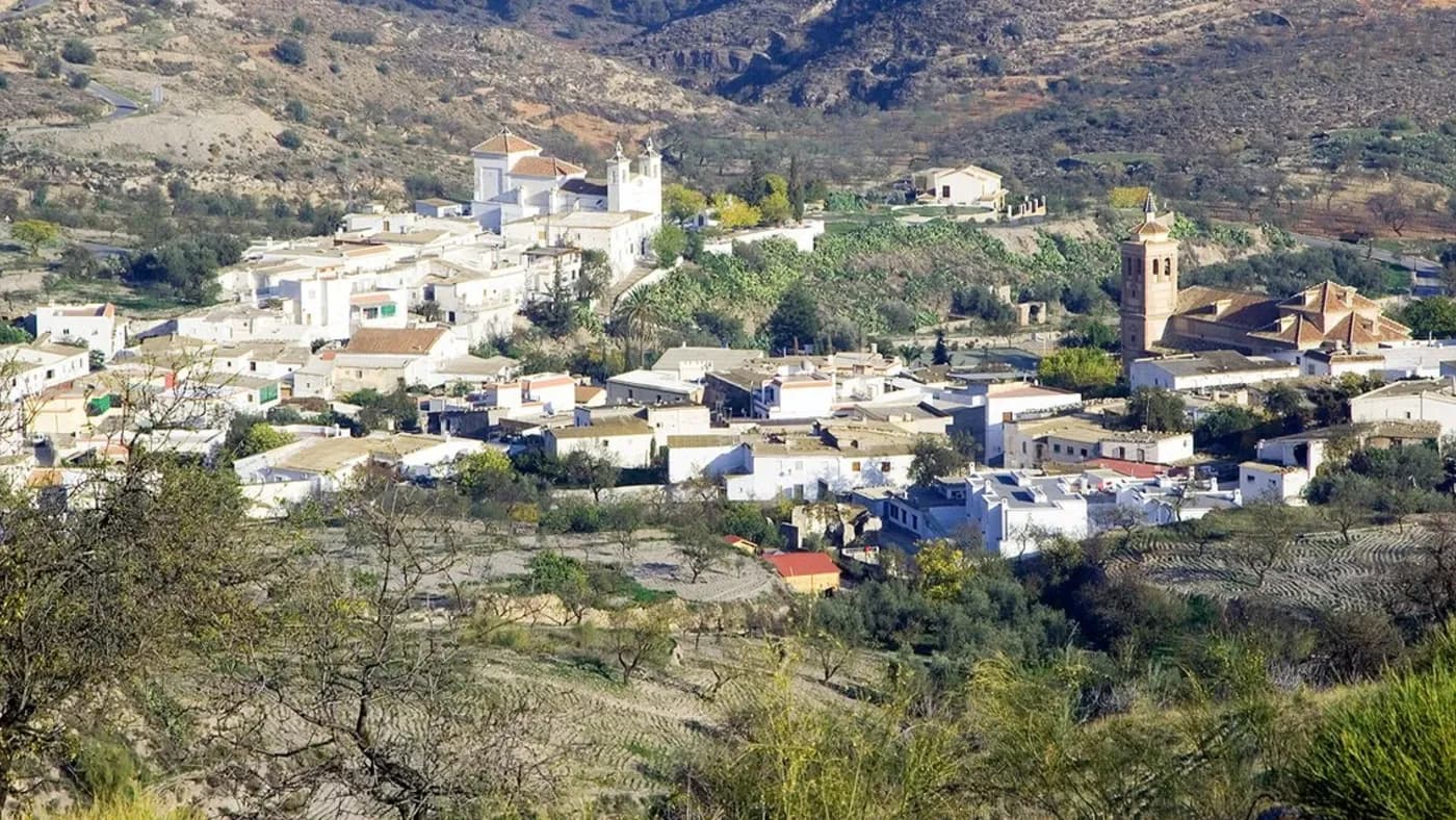 Turón